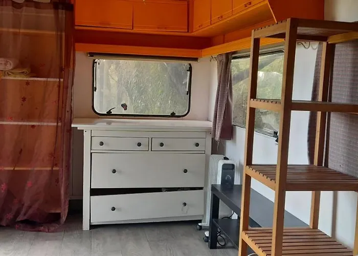 Insolite Nature/4 Saint-André-de-Sangonis